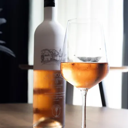 V P Luxury Lägenhet *