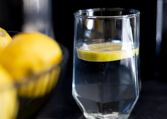 V P Luxury Apartman Tríkala